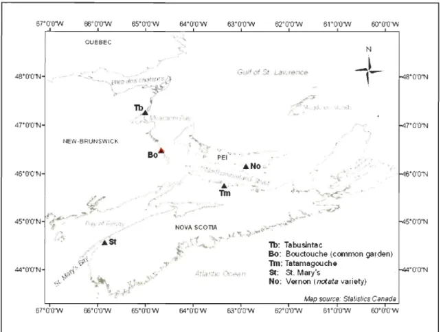 Figure 2.1 Map  of Eastem  Canada showing the  study sites. The red triangle  (Bo) represents  the  site of the common garden (Bouctouche)