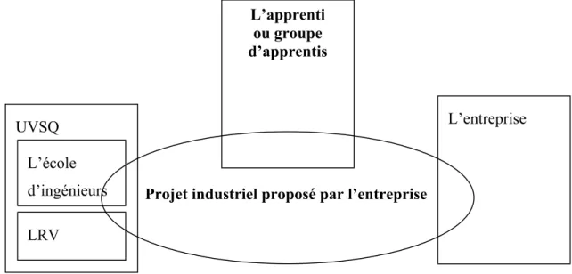 Figure n°4 : structure de la formation des ingénieurs mécatroniciens