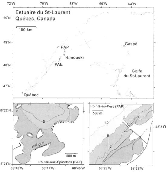 Figur e ]-2  Sites  à  l' étude;  l'es tuaire  du  Saint-Laurent  (e n  ha ut),  le  ma rais  de  Point e-a ux- ux-É pin ettes (en ba s  à  gauche) et le  mara is de Pointe-au-Père (en  bas  à  droite)