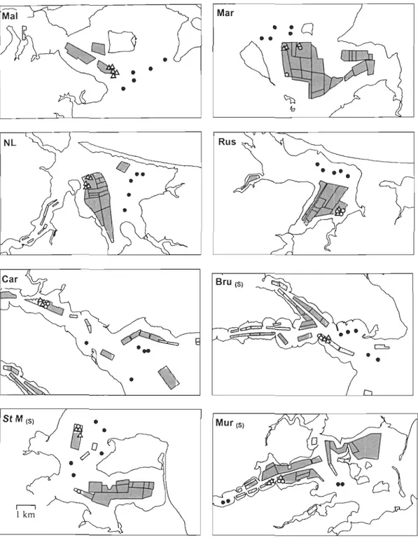 Figure 2.  Sampling locations in bays shown in Fig.  1.  Shaded areas are musselleases