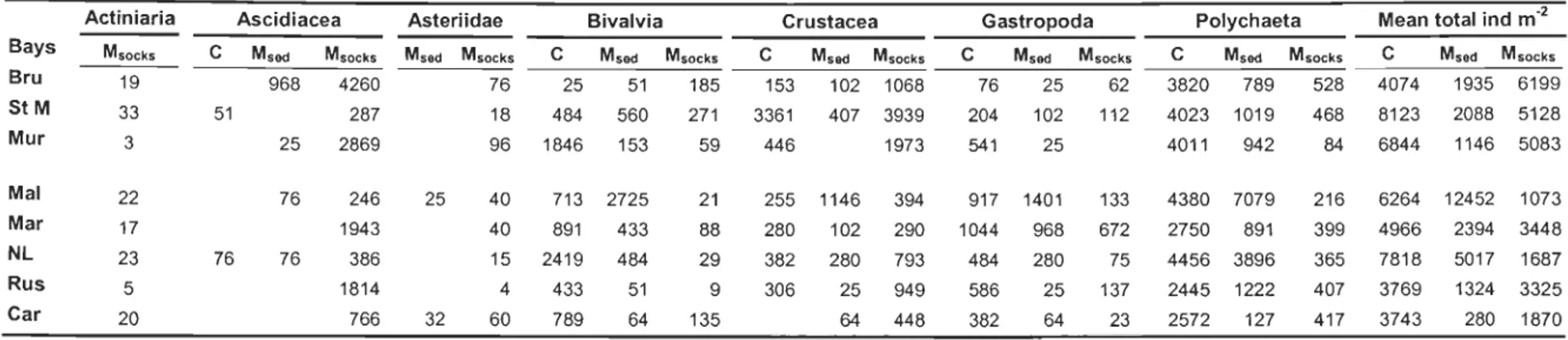 Table 3.  Mean a) abundance , b) biomass and c) productivity ofmacroinvertebrates in 7 taxa, and means oftotals from  sediment samples  outside musselleases (C), sediment samples under musselleases (M sed ), and  mus  sel socks (Msock s)