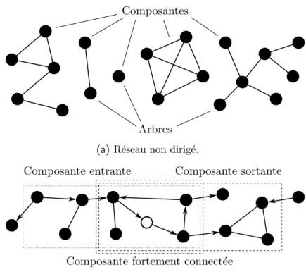 Figure 1.4 – Terminologie relative aux composantes.