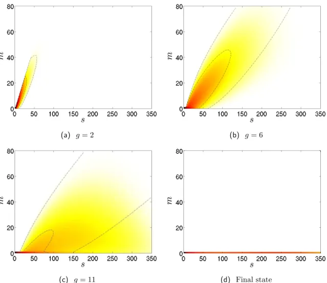 Figure 3.4: Representation of (s, m) phase space for the finite-size network algorithm: s denotes the number of infected nodes by the end of the g-th generation and m denotes the number of new infections that occurred since the last generation