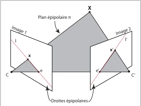 Figure 2.5 Droites et plan épipolaire
