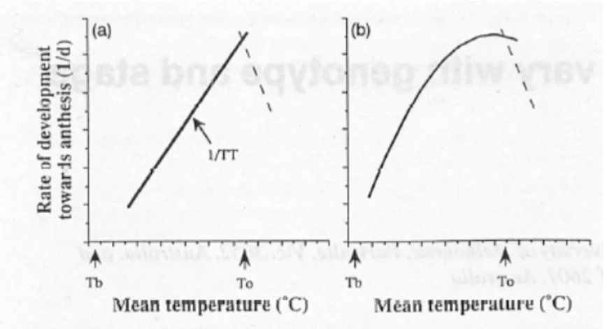 Figure 4 – Exemples de courbes de réponse à la température du développement du grain autour de l’anthèse avec T b : température de base, T 0 : température optimale, et en (a) une réponse linéiare, en (b) une réponse à optimum (Slafer et Rawson, 1995).