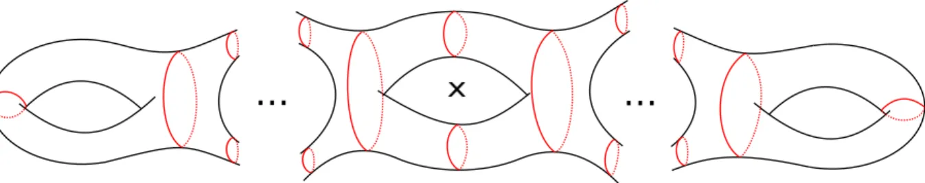 Fig. 2. Involution-invariant pants decomposition for an orientable double cover of a non- non-orientable surface of odd genus