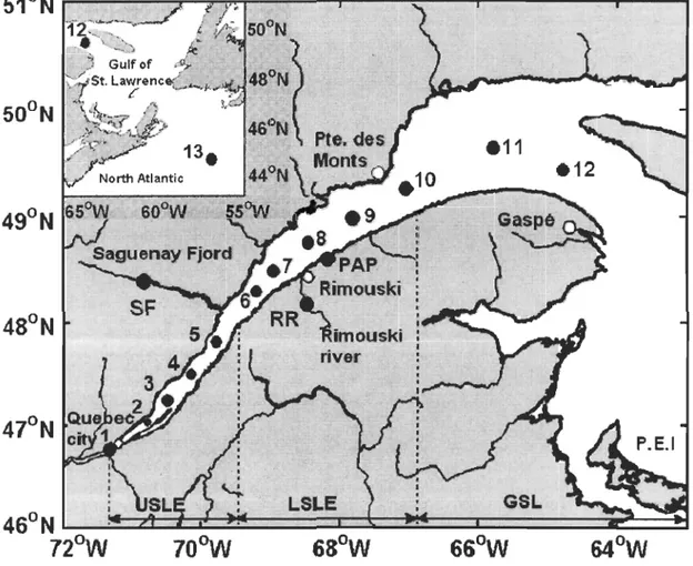 Figure 2-1.  Sampling locations in the  St.  Lawrence estuarine system and  in  the  Atlantic  Ocean off the Cabot Strait