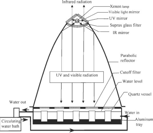 Figure 2-2:  Cross section of the irradiation system 