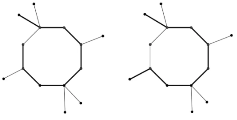 Figure 3.1. Exemples de chemin maximaux dans S