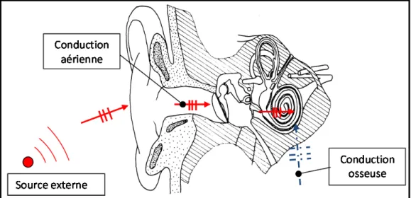 Figure 0.2 : Chemins de transmission en oreille ouverte,   source de bruit externe. 