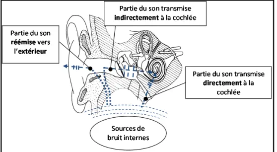 Figure 0.4 : Chemins de transmission en oreille ouverte,   sources de bruit interne.  