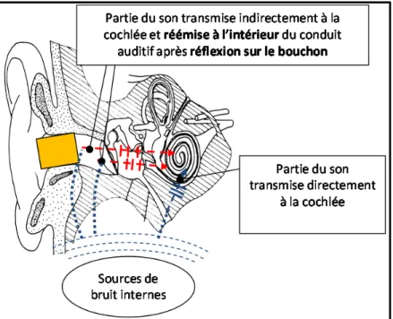 Figure 0.5 : Chemins de transmission en oreille occluse,   source de bruits interne. Source : Le Cocq (2010), adaptée  