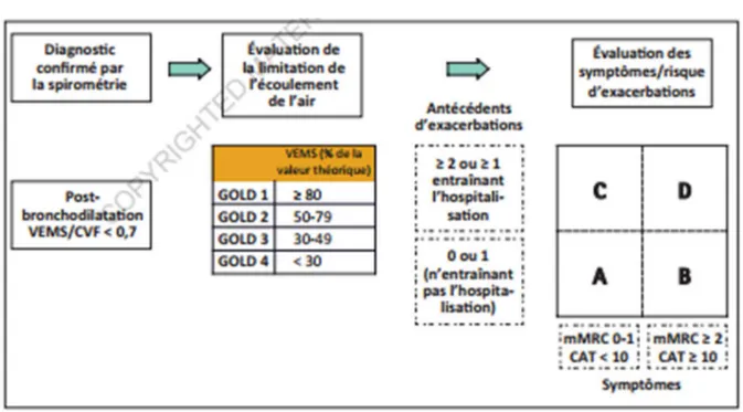 Figure 6 : Les recommandations BPCO : GOLD 2017 (5) 