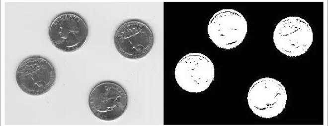 Figure 3.4 Segmentation utilisant l’algorithme de contours actifs de Chan &amp; Vese (2001)