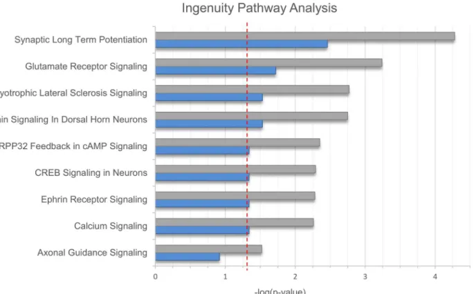 Fig 1. Results of the Ingenuity Pathway Analysis. Results of the Ingenuity Pathway Analysis (IPA) are shown in bar plot format