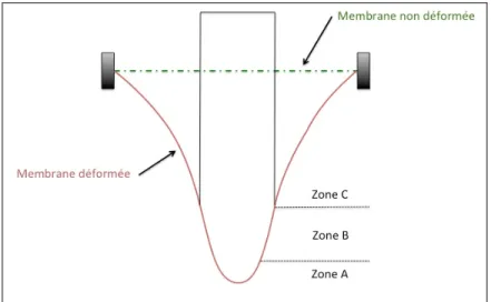 Figure 2-17. Représentation schématique d'une  membrane élastomère soumise à une déformation biaxiale 
