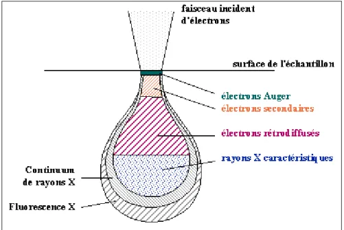 Figure 3-8. Poire d’interaction électrons-matière  (tirée de (Duval et Bouquillon, 2008))  3.4.1.3 La spectroscopie par corrélation de fluorescence 