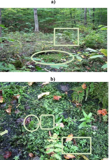 Figure 2.4 : a) Vue de la partie la plus humide de ZHA à partir du puits H87 (bas de versant)