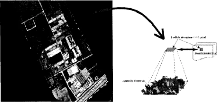 Figure 2  Image de réflectance et pixel d'une parcelle 