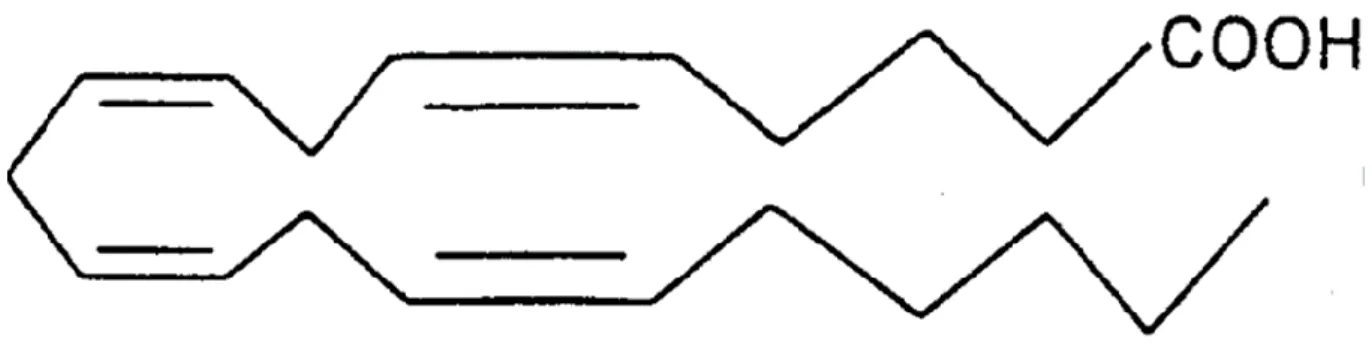 Figure n°3 : Structure de l’acide arachidonique [12]