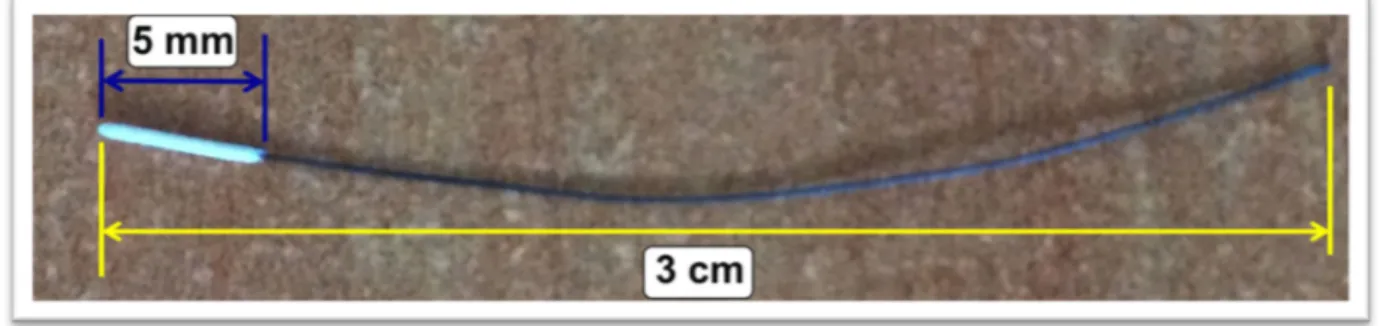 Figure  1.14  : Monofilament  utilisé (Doccol Corp®, Redlands,  USA). La pointe en silicone (en blanc) est plus  épaisse que le reste (en noir) du monofilament afin de bloquer la circulation sanguine seulement à ce niveau