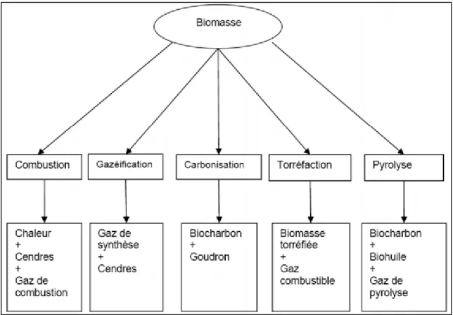 Figure 1-5 : Conversion thermochimique de la biomasse (Solomatnikova, 2012) 