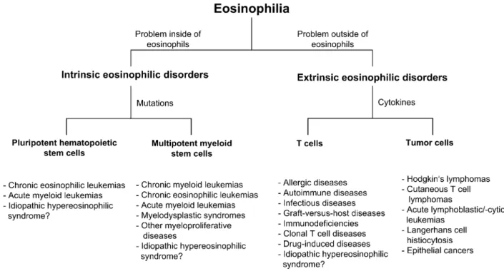 Figure I.6 : D’après Simon et Simon, Eosinophilic disorders. J Allergy Clin Immunol. 2007