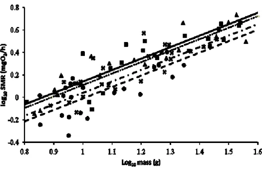 Figure  5:  Relationships  between  standard  metabolic  rate  and  fish  mass  for  the  five  treatments: 