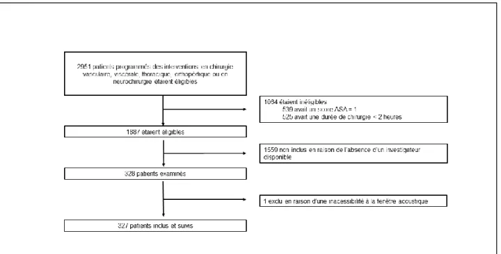 Figure 1. Diagramme de flux de patients 