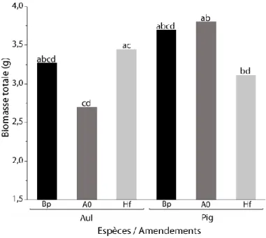 Figure  5  :  Effet  de  l’interaction  espèces*amendements  sur  la  biomasse  totale  des  plants  d’aulne crispé (AUL) et de pin gris (PIG) plantés dans un sol amendé de biosolides de papetière  (BP), d’humus forestier (Hf) et sans amendement (A0), indé