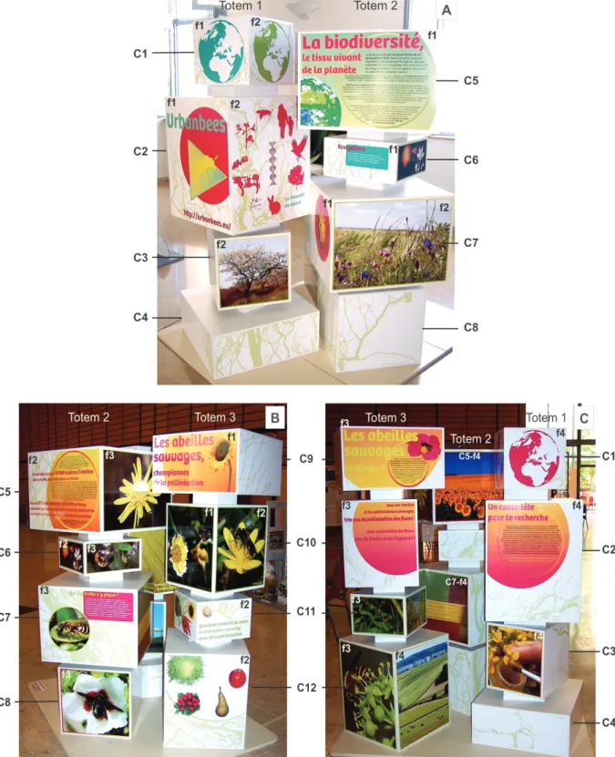 Figure 11. L’îlot 1 de l’exposition Urbanbees selon les angles de vue A, B et C. 