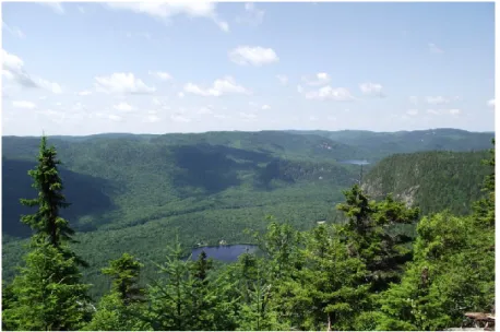 Figure 2 : Paysage visible depuis le refuge des Falaises 