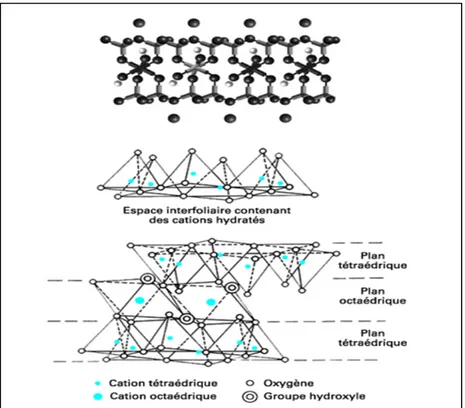 Figure 1.2 Représentation de la structure de montmorillonite                                                 Tirée de Gloaguen and Lefebvre (2007, p.4) 