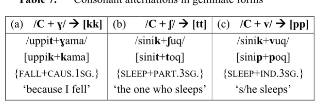 Table 7.  Consonant alternations in geminate forms 
