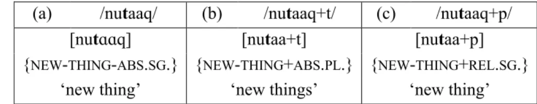 Table 20.  Lack of stem-internal gemination in inflected forms of /nutaaq/ 