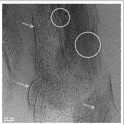 Figure 2-2. Transmission electron micrograph of  layered silicates reinforced nitrile rubber processed by 