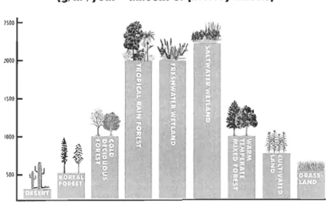 Figure 7- Productivité de différents écosystèmes 