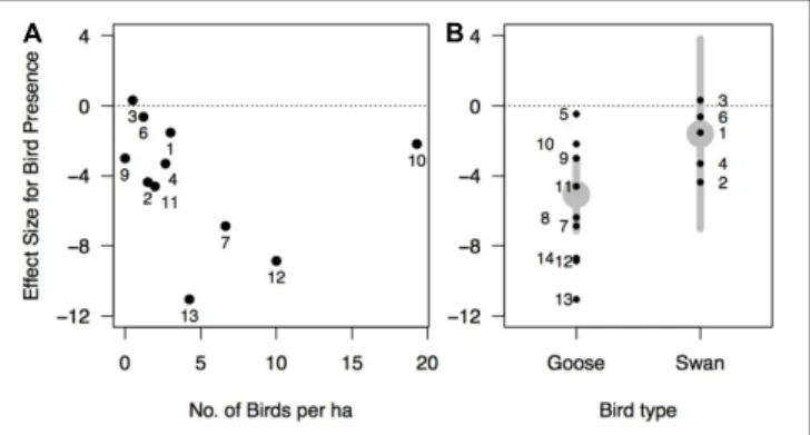 FIGURE 6 | Effect size of waterfowl on eelgrass (Hedges’ d) as a function of: