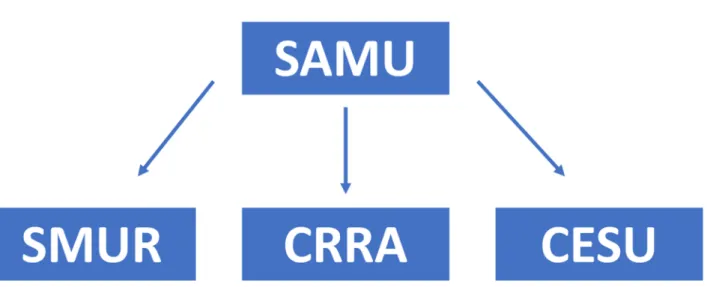 Figure 4 : Organisation du SAMU comprenant les trois entités obligatoires : 