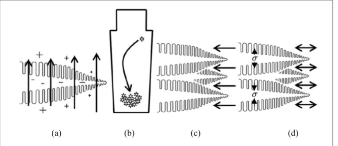 Figure 1.3 Schematic of the processes leading to mass transport during ingot  solidification