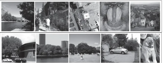 Figure 2.1 From left to right and top to bottom, the high-resolution test images labeled from 1 to 10