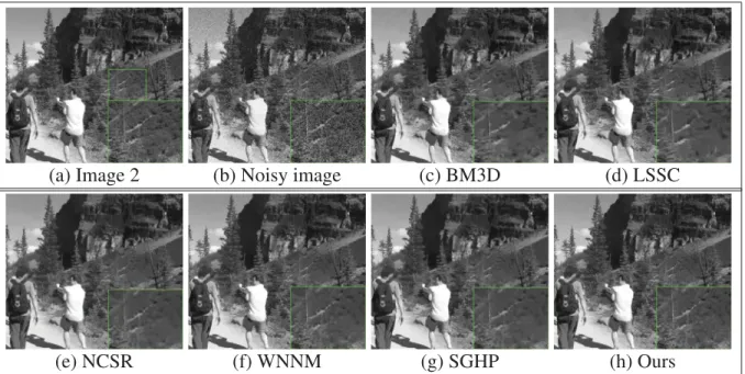 Figure 2.3 Denoising results on Image 2 (noise level σ = 40 ). (b) PSNR = 16.09 dB, SSIM = 0.302; (c) PSNR = 25.02 dB, SSIM = 0.668; (d) PSNR = 24.98 dB, SSIM = 0.670; (e) PSNR = 24.87 dB, SSIM = 0.651; (f) PSNR = 24.98 dB, SSIM = 0.654; (g)