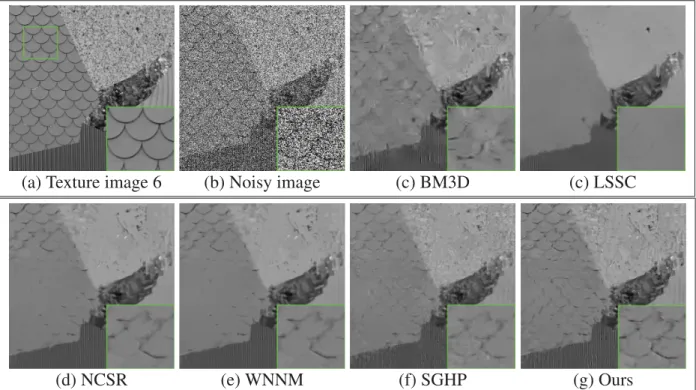 Figure 2.7 Denoising results on Texture image 6 (noise level σ = 100). (b) PSNR = 8.135 dB, SSIM = 0.052; (c) PSNR = 23.24 dB, SSIM = 0.530; (d) PSNR = 22.79 dB,