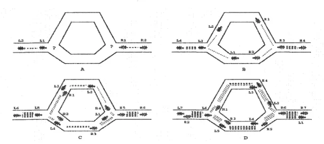 Figure 1  How real ants find a shortest path  [3 6 ] 