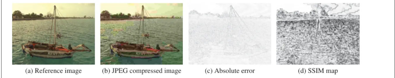 Figure 1.1 Quality map of SSIM versus absolute error map for a JPEG compressed image (b) with respect to its reference image (a).
