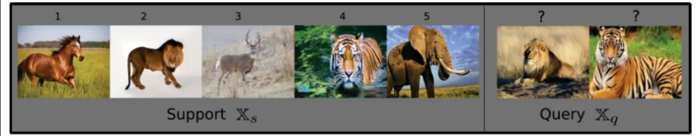 Figure 1.1 A few-shot task with support examples and unknown query samples.