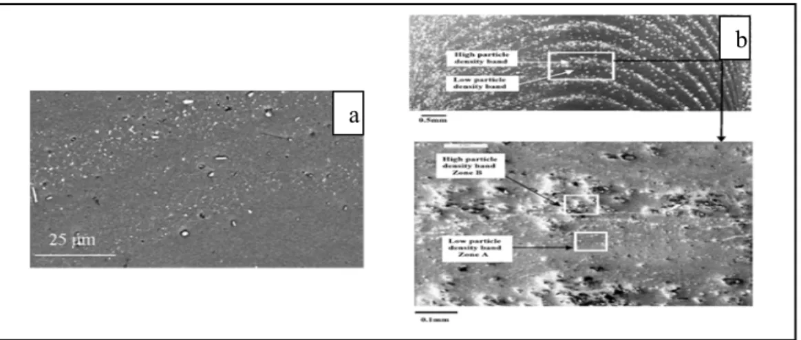Figure 1.18 Images prises au microscope électronique à balayage (SEM) qui  montre une alternance de bandes à forte et à faible concentration de précipités: 