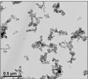 Figure 2.2 Photographie réalisée par microscopie électronique   du noir de carbone et quelques agglomérats 