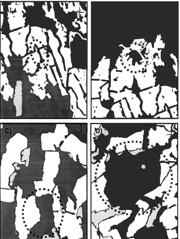 Figure  1.  Quatre  stratégies  de  dispersion  de  coupe  générant  des  structures  forestières  résiduelle s  différentes  (échelle  1 :  15000) 