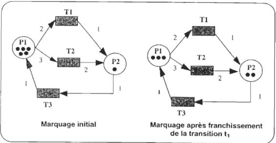 Figure  7  Exemple  d'un  réseau de Petri (Courtot, 1998) 